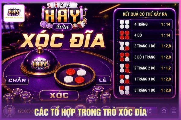 Các tổ hợp trong trò chơi xóc đĩa