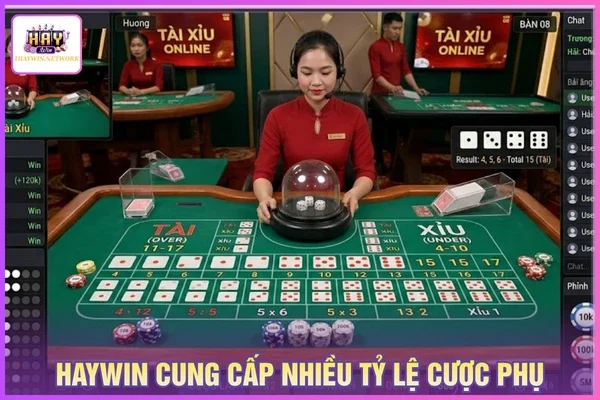 HAYWIN cung cấp nhiều tỷ lệ cược phụ cho bạn đặt cược