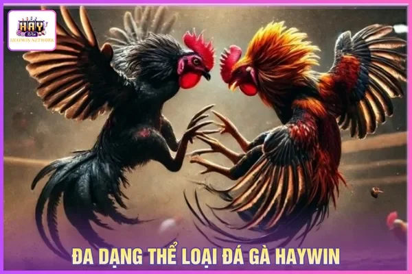 Mỗi hình thức chọi đi kèm đặc điểm hấp dẫn khác nhau