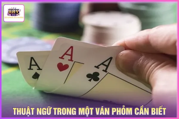 Thuật ngữ quan trọng để tránh nhầm lẫn các lựa chọn